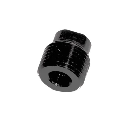 R000560 (Oil Plug)